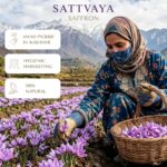 saffron sattvaya