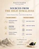 Shilajit resin