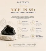 Shilajit resin