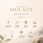 Shilajit resin