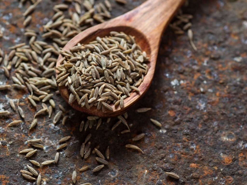 Cumin Exporter From India