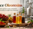 Spice Oleoresins
