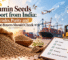 Cumin Seeds Export from India: Grades, Purity & Buyer Checks